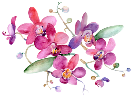 (125-02) Pink Purple Yellow Orchids