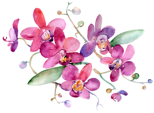 (125-02) Pink Purple Yellow Orchids
