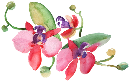 (125-02) Pink Purple Yellow Orchids