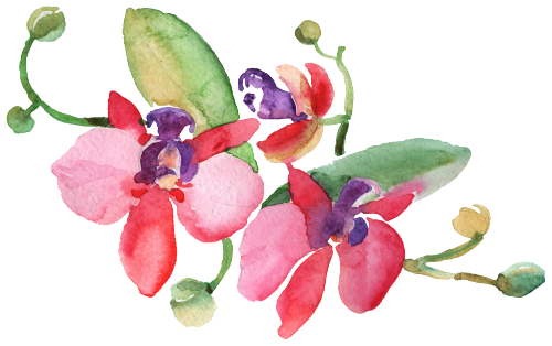 (125-02) Pink Purple Yellow Orchids