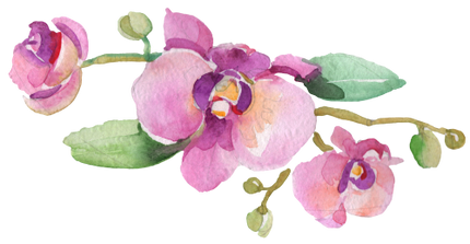 (125-02) Pink Purple Yellow Orchids