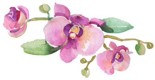 (125-02) Pink Purple Yellow Orchids