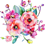 (125-02) Orchids