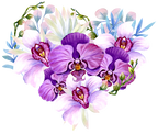 (125-04) Purple Orchids