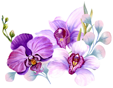 (125-04) Purple Orchids