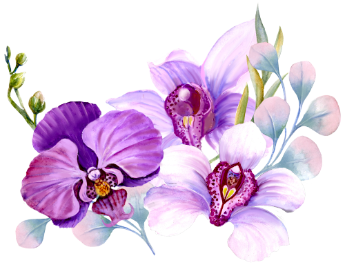 (125-04) Purple Orchids