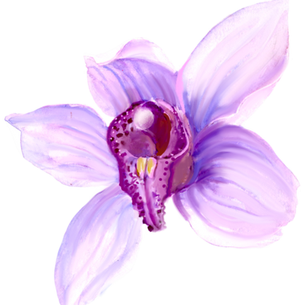 (125-04) Purple Orchids