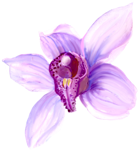 (125-04) Purple Orchids