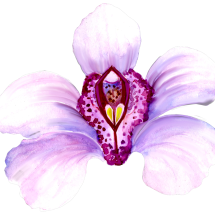 (125-04) Purple Orchids