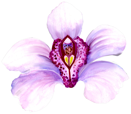 (125-04) Purple Orchids