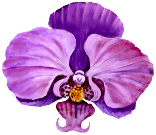 (125-04) Purple Orchids