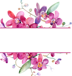 (125-02) Pink Purple Yellow Orchids