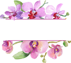(125-02) Pink Purple Yellow Orchids