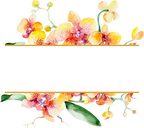 (125-02) Pink Purple Yellow Orchids