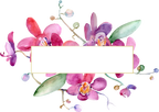 (125-02) Pink Purple Yellow Orchids