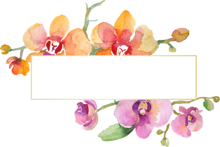 (125-02) Pink Purple Yellow Orchids