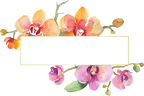 (125-02) Pink Purple Yellow Orchids
