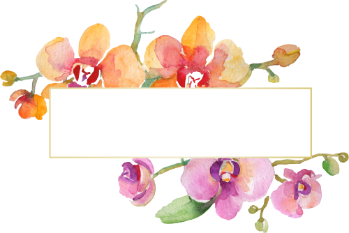 (125-02) Pink Purple Yellow Orchids