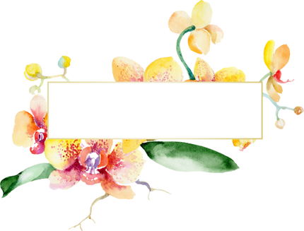 (125-02) Pink Purple Yellow Orchids