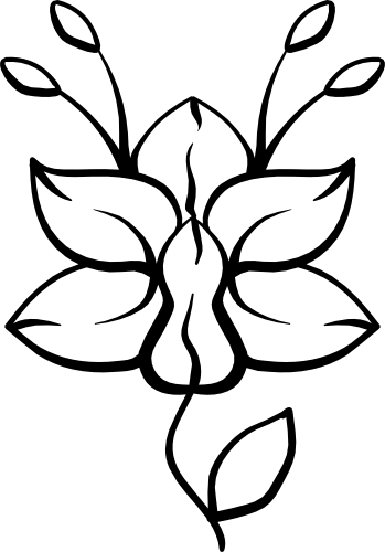 (125-01-1G) Tropical Orchid Orchids