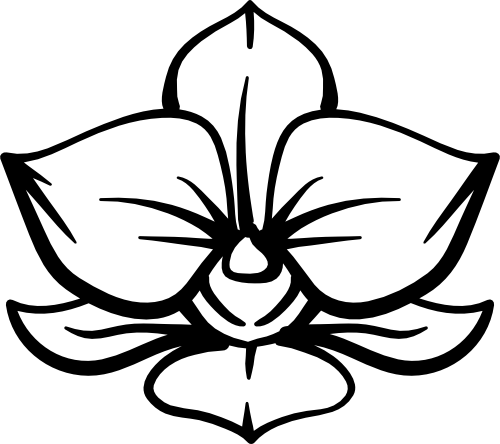 (125-01-1B) Tropical Orchid Orchids