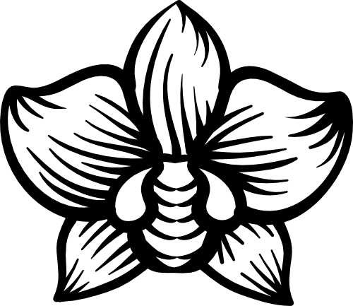 (125-01-1F) Orchid Iron-On Transfer