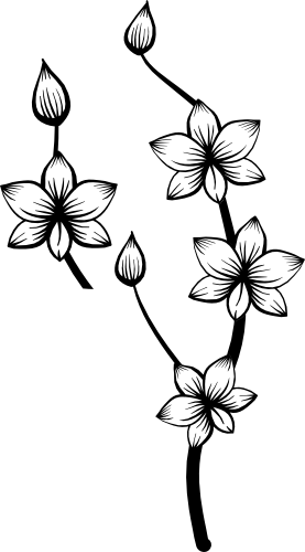 (125-01-1J) Tropical Orchid Orchids