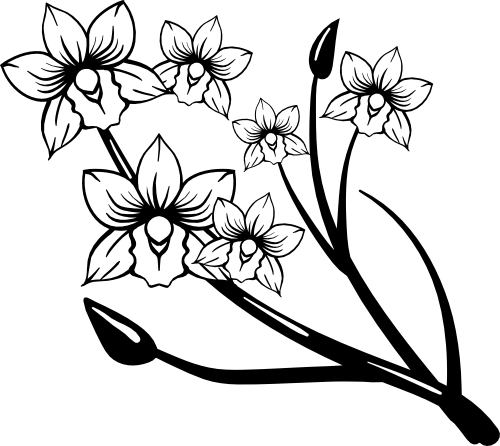 (125-01-1K) Tropical Orchid Orchids