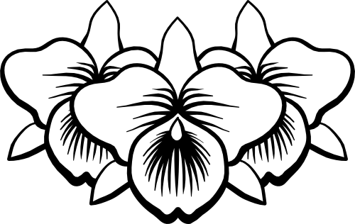 (125-01-1I) Tropical Orchid Orchids