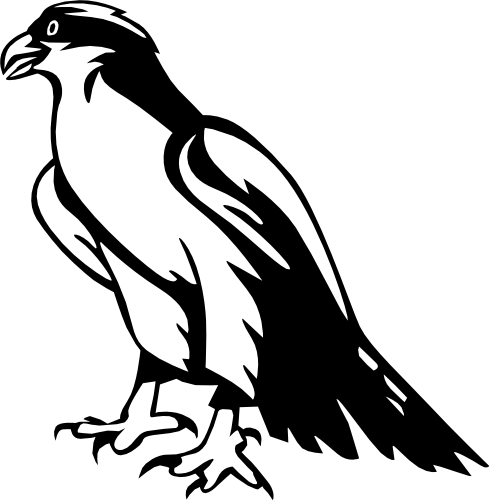 (s129-E) Hawk