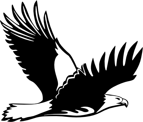 (s129-F) Eagle