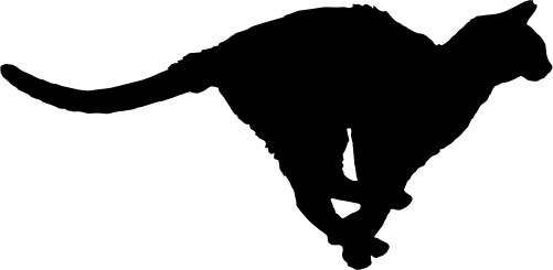 (s012-1-1T) Cat Kitty Silhouette