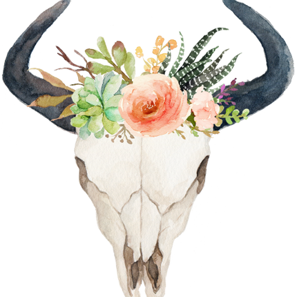 (s013-1-N) Cow Skull Peach Succulent Flowers