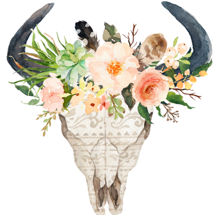 (s013-1-O) Cow Skull Peach Succulent Flowers