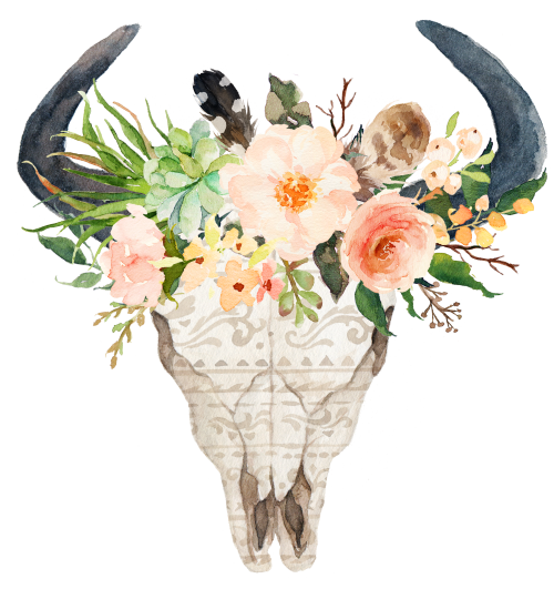 (s013-1-O) Cow Skull Peach Succulent Flowers