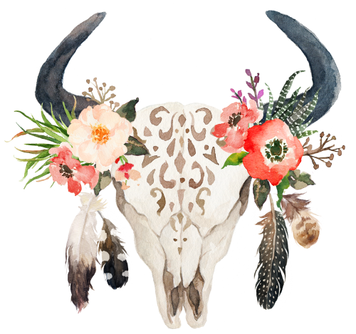 (s013-1-W) Cow Skull Peach Succulent Flowers