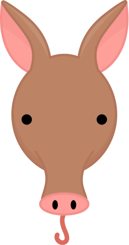 (s169-13-1Q) Aardvark Face