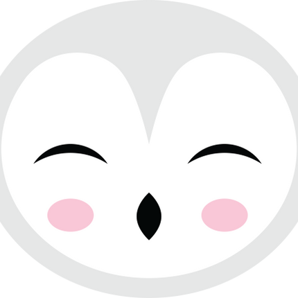 (s169-17-1L) Snowy Owl Face