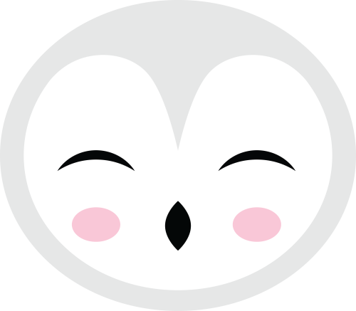 (s169-17-1L) Snowy Owl Face