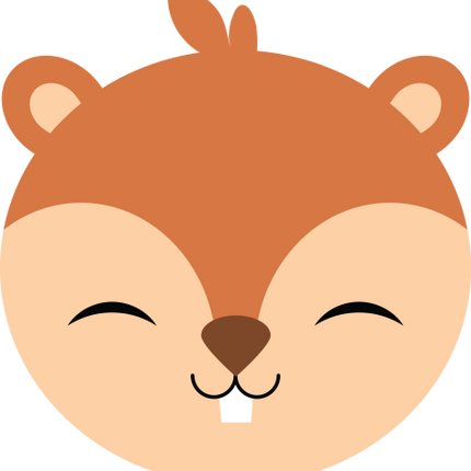 (s169-14-1M) Chipmunk Face