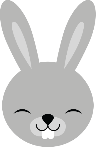 (s169-14-1N) Bunny Rabbit Face