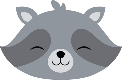 (s169-14-1R) Racoon Face