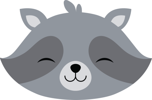 (s169-14-1R) Racoon Face