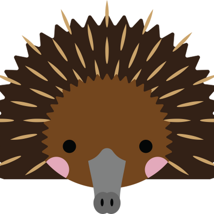 (s169-16-E) Echidna Face