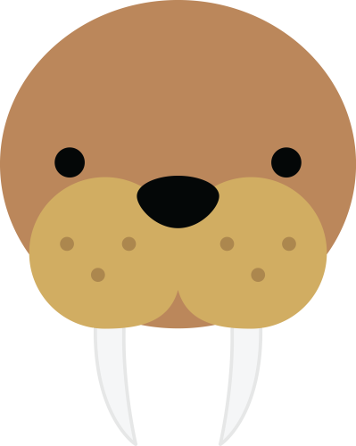 (169-17-E) Walrus Face