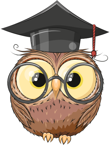 (s133-24-2B) Cute Cartoon Owl Graduation Cap Glasses