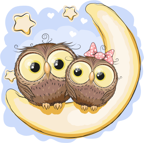 (s133-24-1T) Cute Cartoon Owls Moon