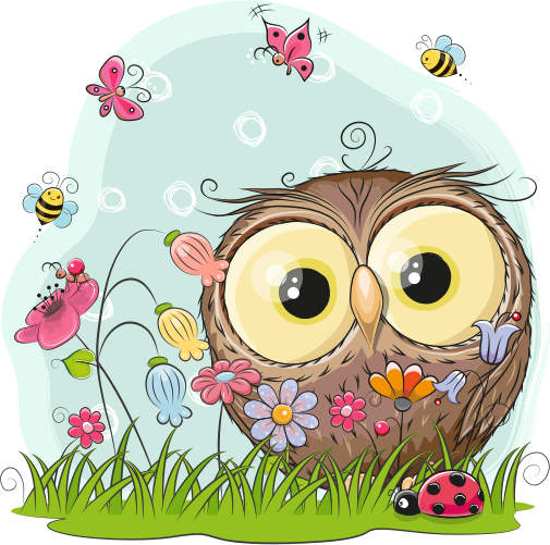 (s133-24-1Y) Cute Cartoon Owl Flower Meadow