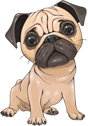 (s133-27-1K) Cute Cartoon Pug