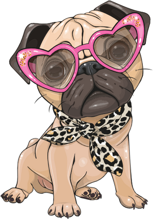 (s133-27-1O) Cute Cartoon Pug Leopard Scarf Glasses